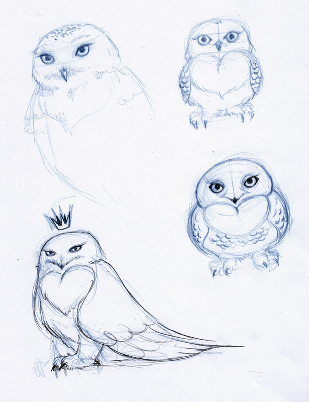 615x800 Snowy Owl Sketches - Snowy Owl Sketch
