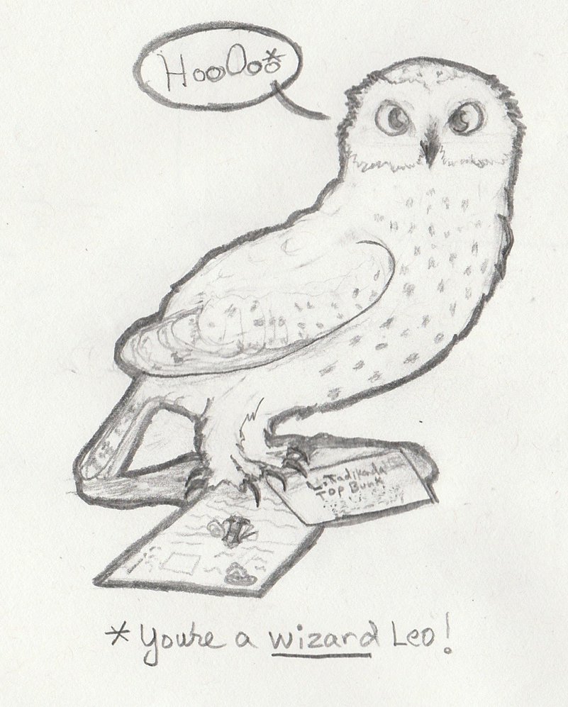 801x997 Draw Request - Snowy Owl Sketch