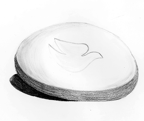 500x421 Object Drawings Amelia Phillips - Soap Sketch