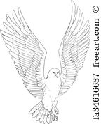 144x178 Free Art Print Of Sketch Illustration Of A Soaring Eagle. Sketch - Soaring Eagle Sketch
