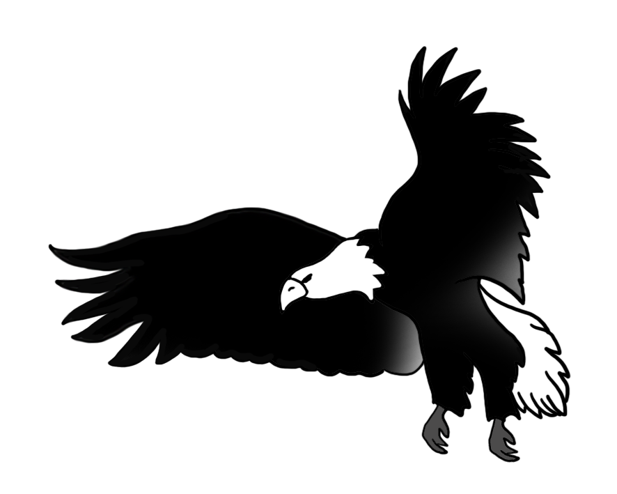 886x709 Bald Eagle Drawings - Soaring Eagle Sketch