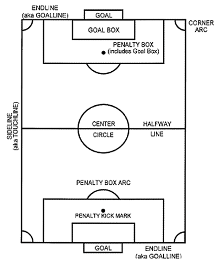 440x530 Soccer Pitch Diagram - Soccer Goal Sketch