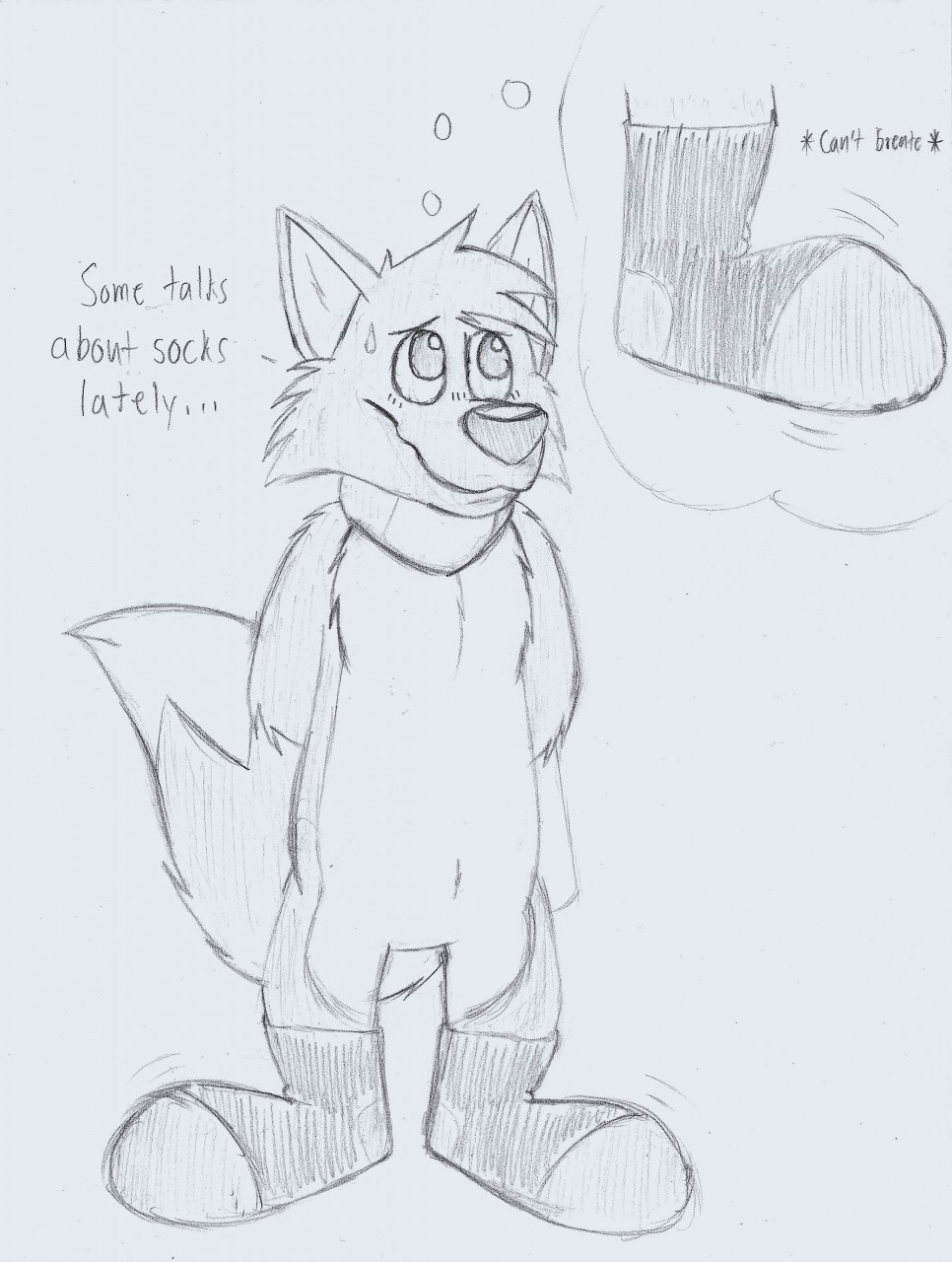 966x1280 Paw Socks. Sketch By Raywolfn64 - Socks Sketch