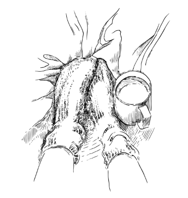 380x400 Sketch Of Feet With Warm Socks Vector 6085196 Fashion Is Compassion - Socks Sketch