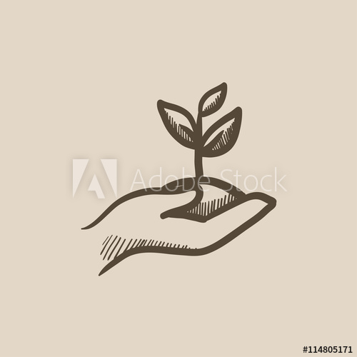 500x500 Hands Holding Seedling In Soil Sketch Icon. - Soil Sketch
