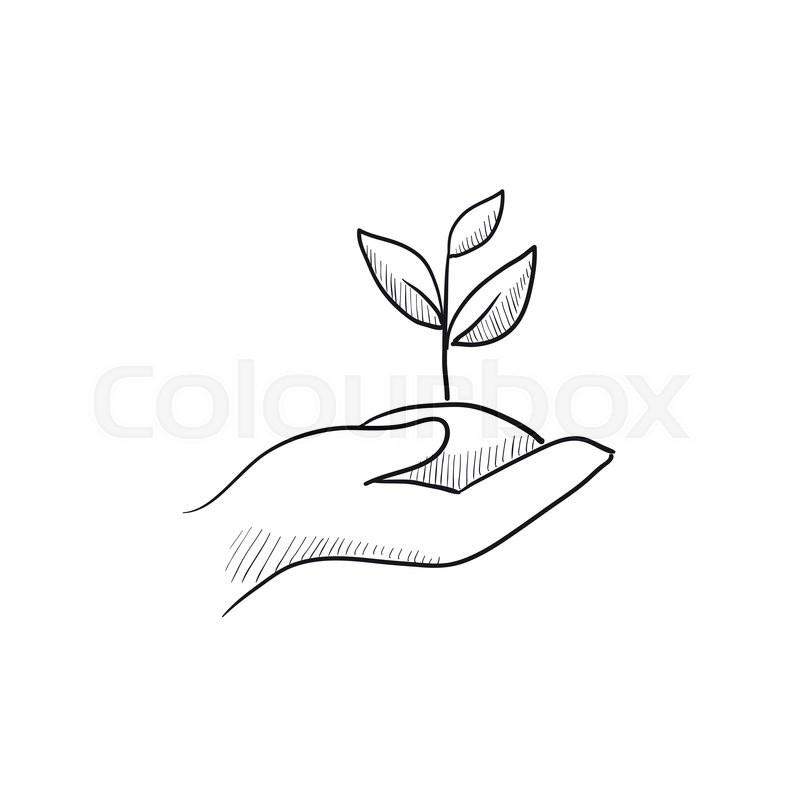 800x800 Hands Holding Seedling In Soil Vector Sketch Icon Isolated On - Soil Sketch