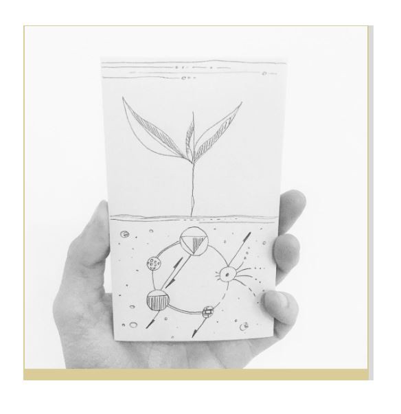 584x603 Part 2 What Makes A Healthy Diet How To Be A Soil Doctor - Soil Sketch