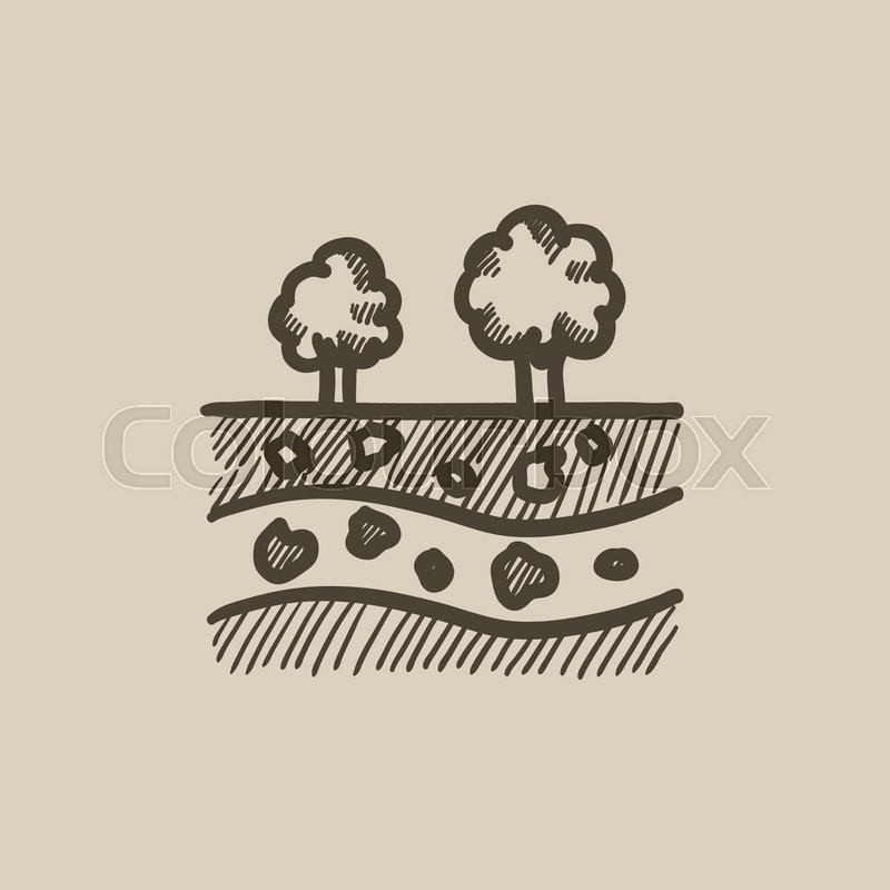 800x800 Cut Of Soil With Different Layers And Tree On Top Vector Sketch - Soil Sketch