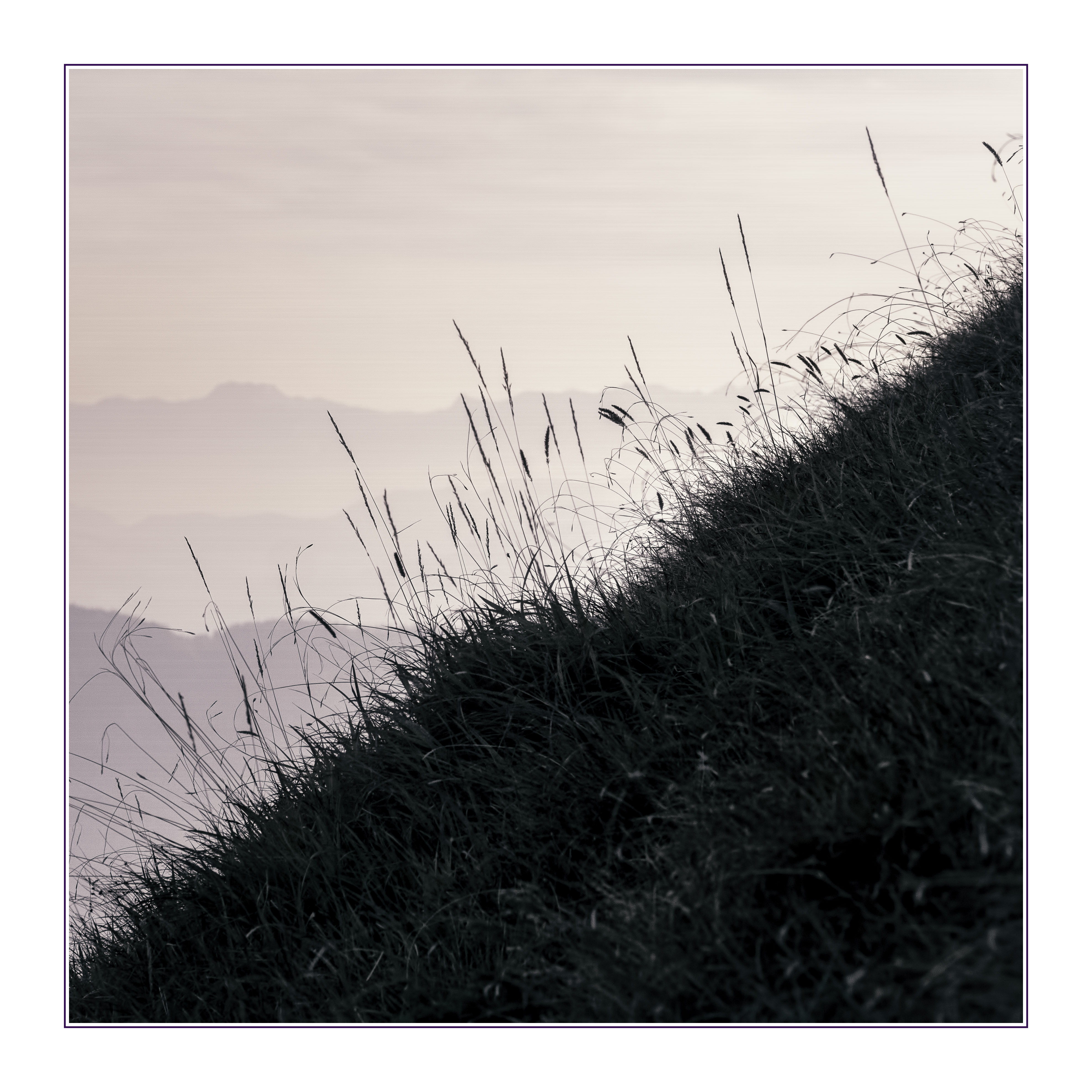 3956x3956 Free Images Grass, Black And White, Line, Soil, Austria, Sketch - Soil Sketch