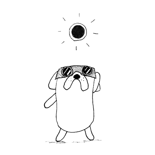 500x500 Total Solar Eclipse Dog Pixelmist Design - Solar Eclipse Sketch