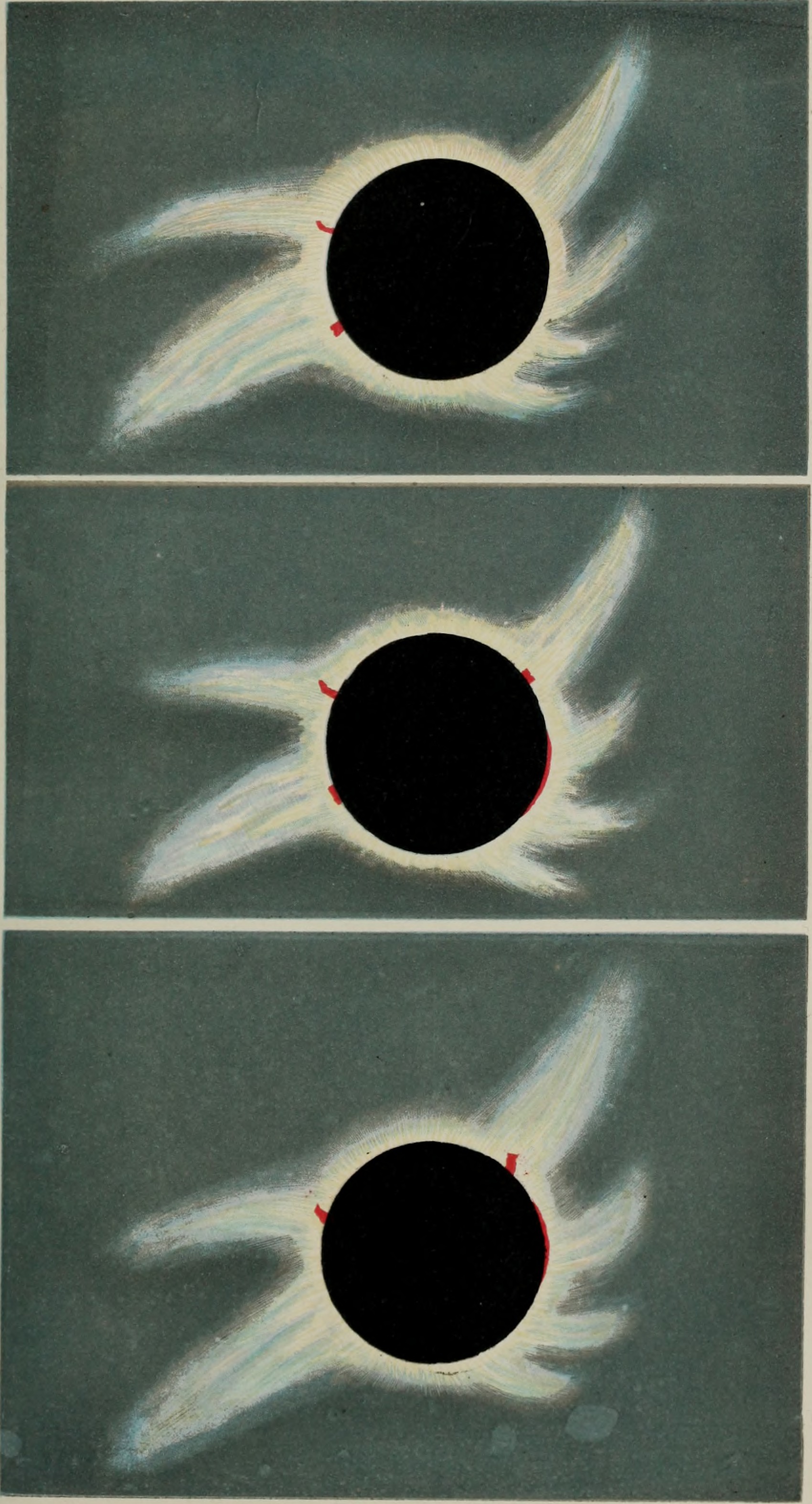 1700x3148 Filesketches Of The Total Solar Eclipse, 1868 (19745966082).jpg - Solar Eclipse Sketch