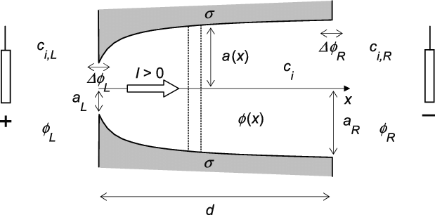 619x306 Sketch Of The Nanopore, The External Solution, And The Current - Solution Sketch