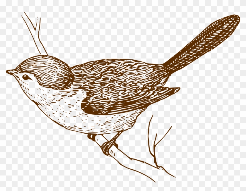 840x653 Songbird Clipart Little Bird - Songbird Sketch