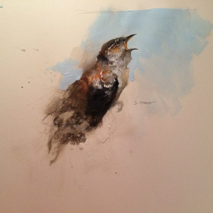 720x720 Songbird Sketch 2015 14 X 17 Watercolor Amp Graphite On Paper - Songbird Sketch