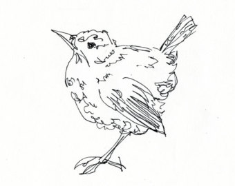 340x270 Songbird Sketch Etsy - Songbird Sketch