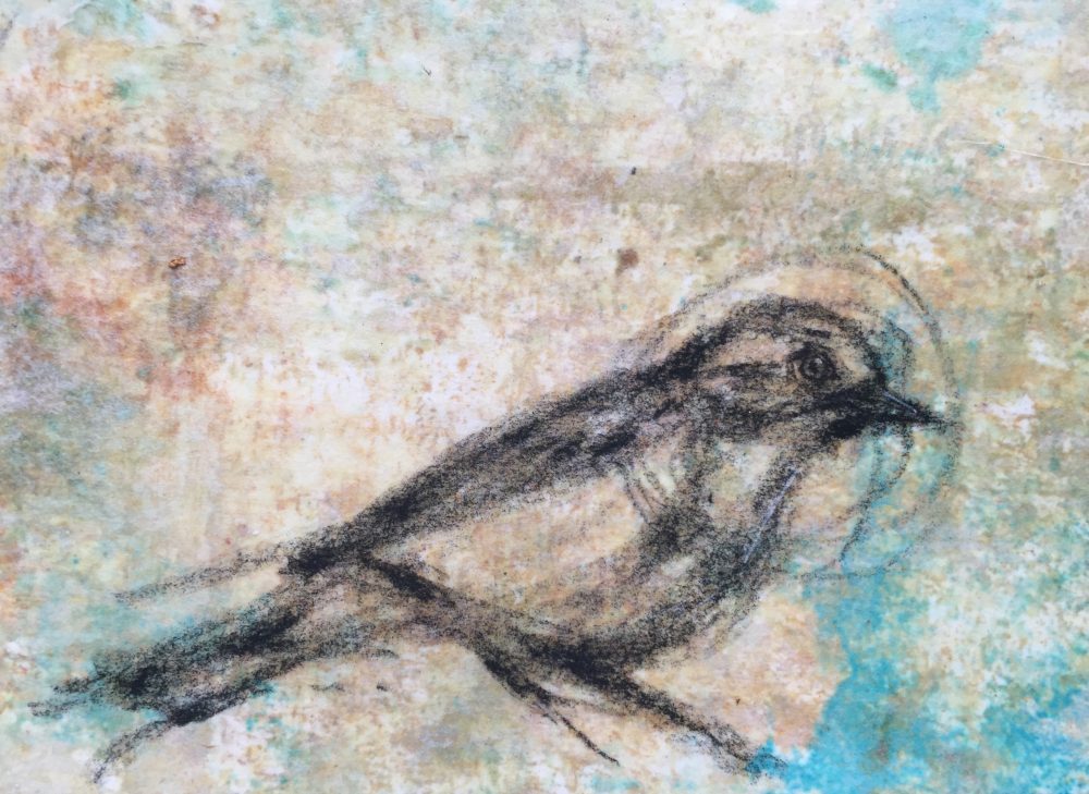 1000x729 Songbird Sketch 2 R E B E C C A S O W E R - Songbird Sketch
