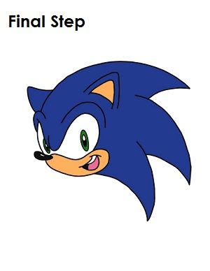 300x388 How To Draw Sonic The Hedgehog 17 Steps - Sonic The Hedgehog Sketch