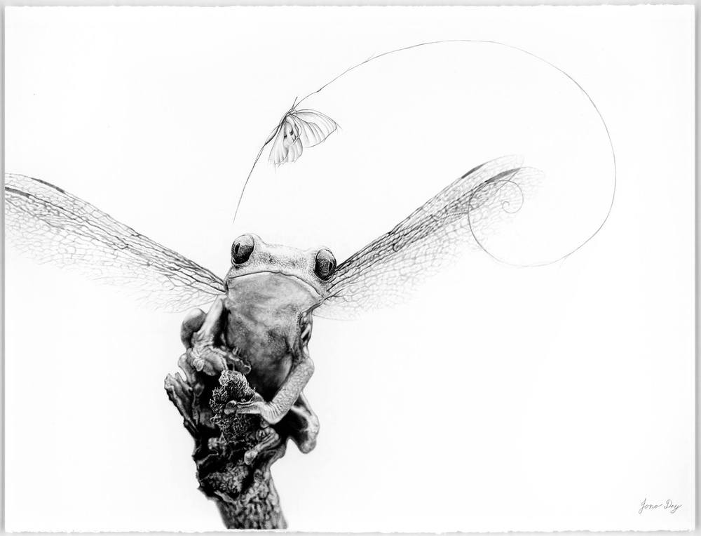 1000x764 Jono Dry Art - South African Sketch