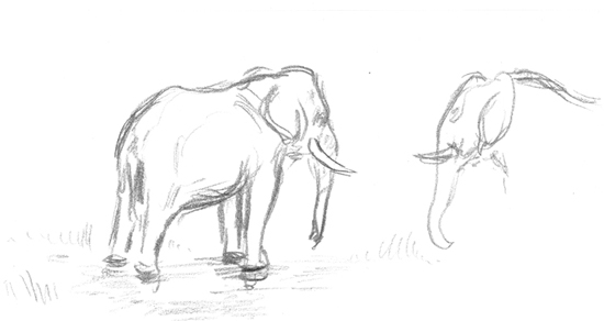 550x292 Sketchbook South Africa - South African Sketch