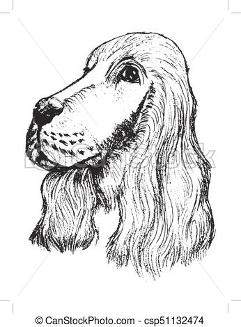 346x470 Portrait Of Spaniel. Vector, Sketch, Hand Drawn Illustration Of - Spaniel Sketch