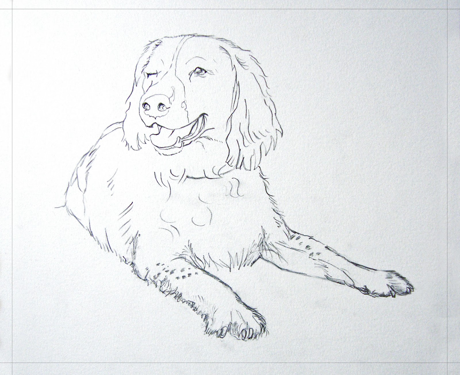 1600x1306 Toby The Springer Spaniel - Spaniel Sketch