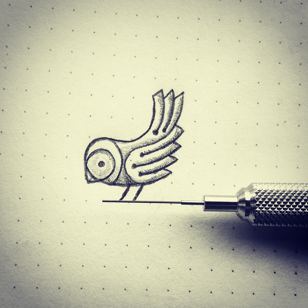 1200x1200 Sparrow Sketch On Behance - Sparrow Sketch
