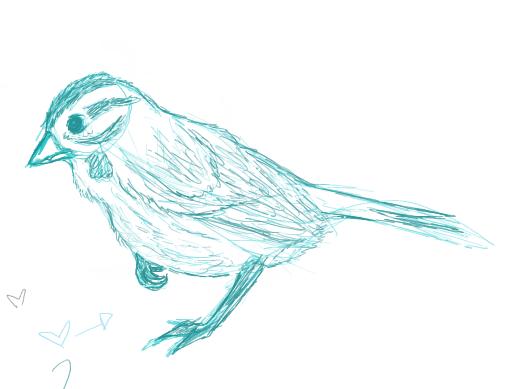 513x389 Sparrow Sketch By Lilake1 - Sparrow Sketch