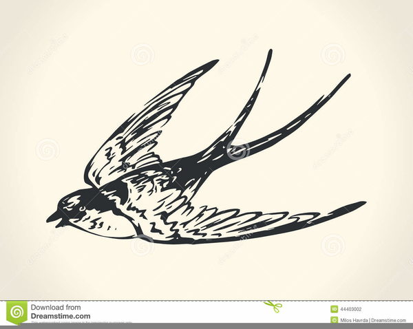 600x478 Cartoon Sparrow Tattoo Free Images - Sparrow Sketch Tattoo