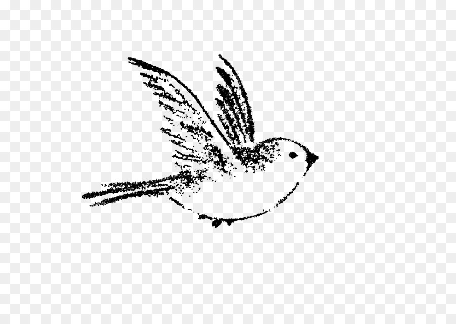 900x640 House Sparrow Bird Drawing Tattoo - Sparrow Sketch Tattoo