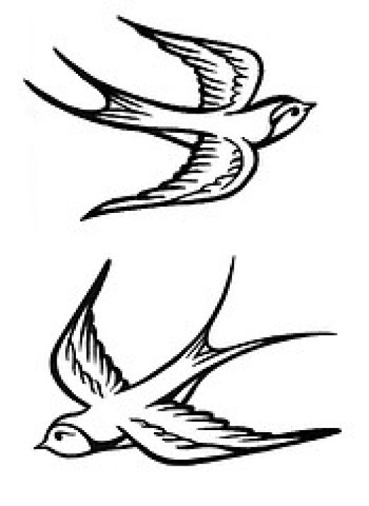 520x713 Outline Roses And Flying Sparrow Tattoo Design - Sparrow Sketch Tattoo