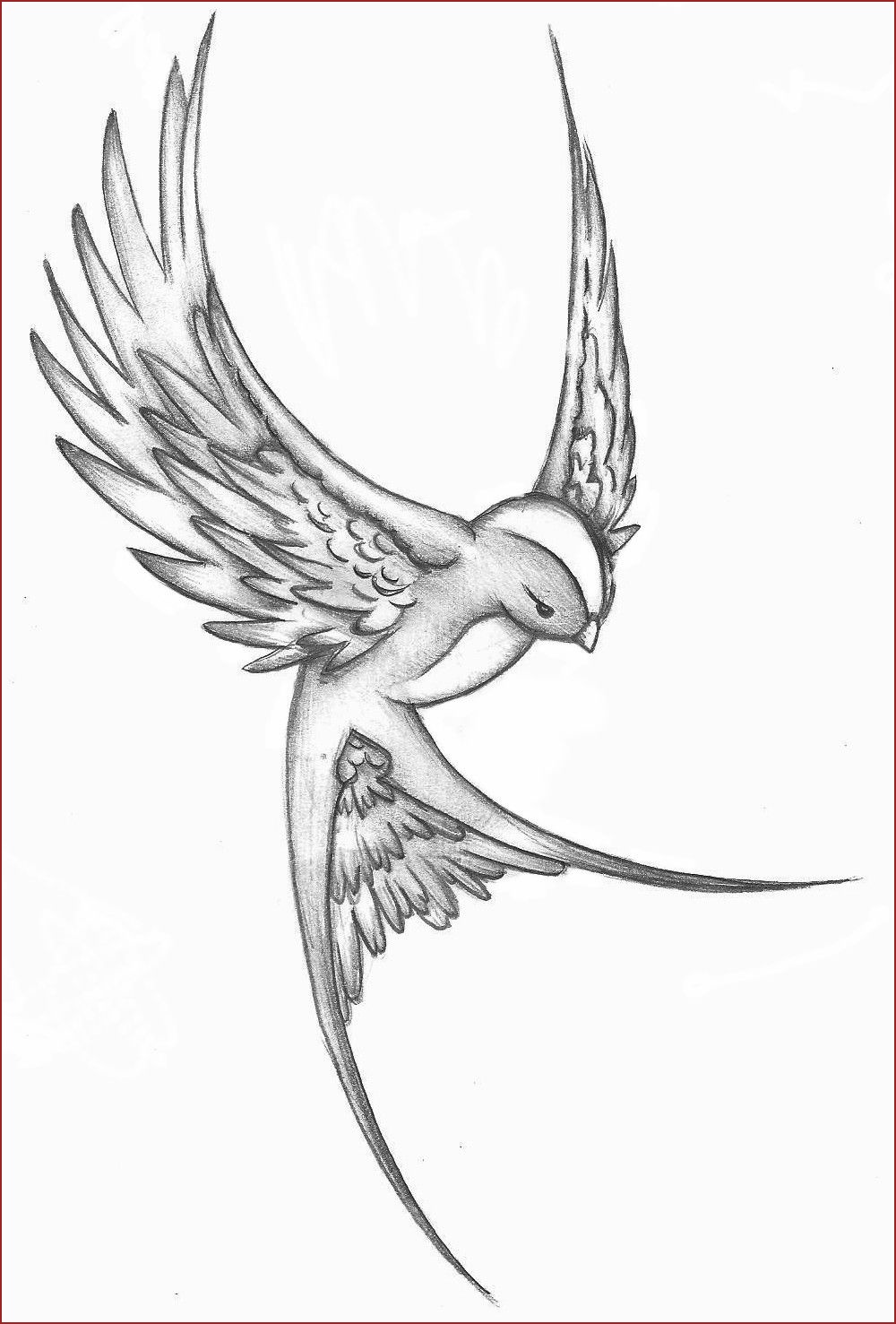 1000x1477 Simple Sparrow Tattoo Design Tattoo Design Ideas - Sparrow Sketch Tattoo