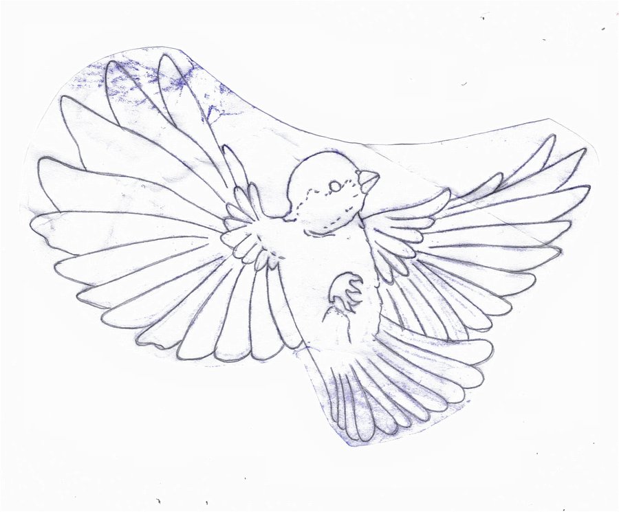 900x745 Sparrow Outline By Johnnyburnside - Sparrow Sketch Tattoo