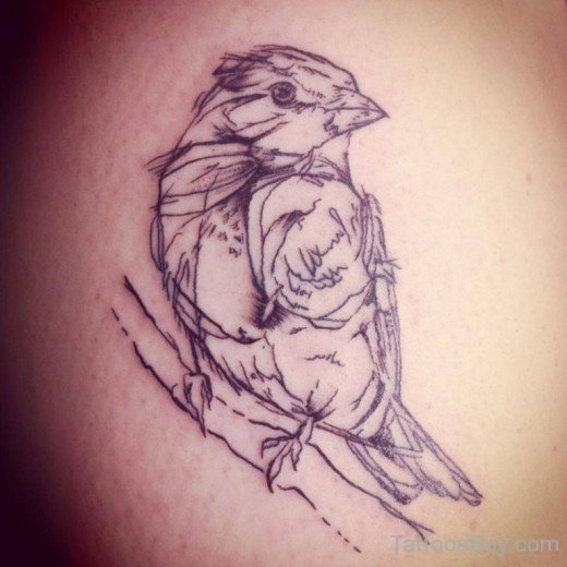 520x520 Sparrow Sketch Tattoo Tattoo Designs, Tattoo Pictures - Sparrow Sketch Tattoo
