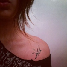 224x224 Jack Sparrow Tattoo Sketch Search Results Pictures - Sparrow Sketch Tattoo