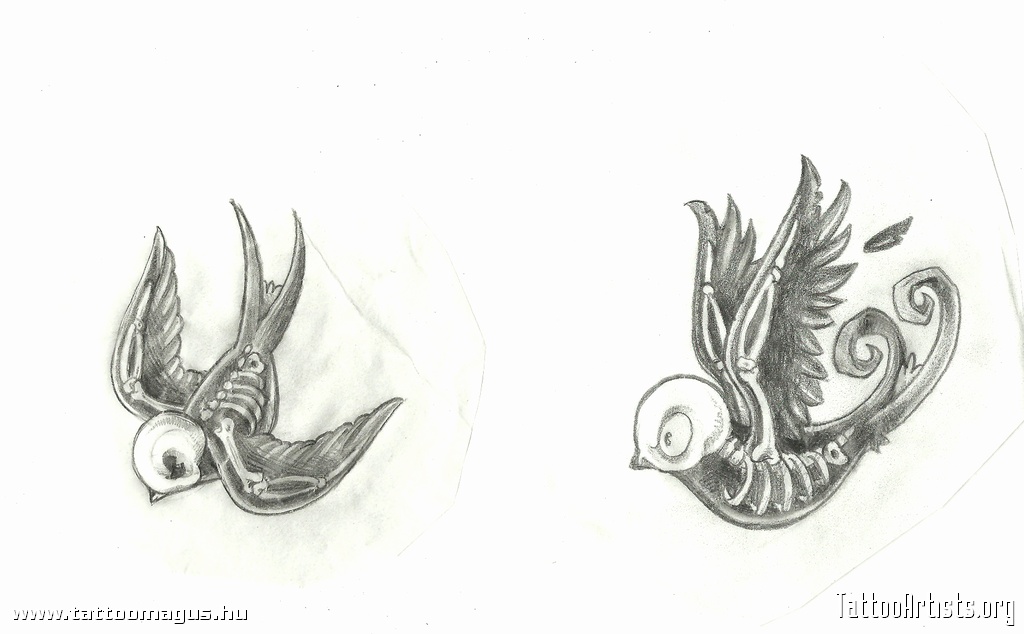 1024x634 Sparrow - Sparrow Sketch Tattoo