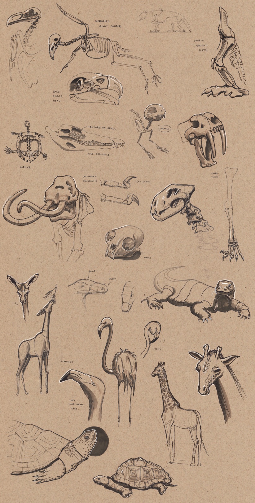 823x1624 Sketch Journey - Special Sketch