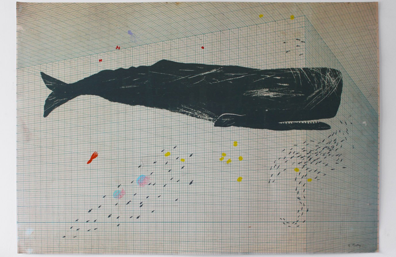 1378x896 Sperm Whale On Perspective Indicator Poster Turley Amp Stephens - Sperm Whale Sketch