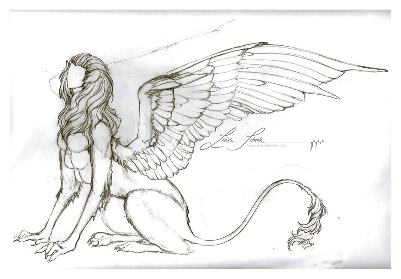 800x557 Sphinx Sketch By Yehudiah - Sphinx Sketch