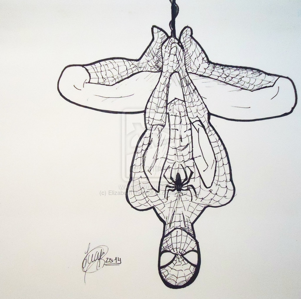 1024x1017 Spiderman Drawings In Pencil Easy - Spider Man Sketch Easy