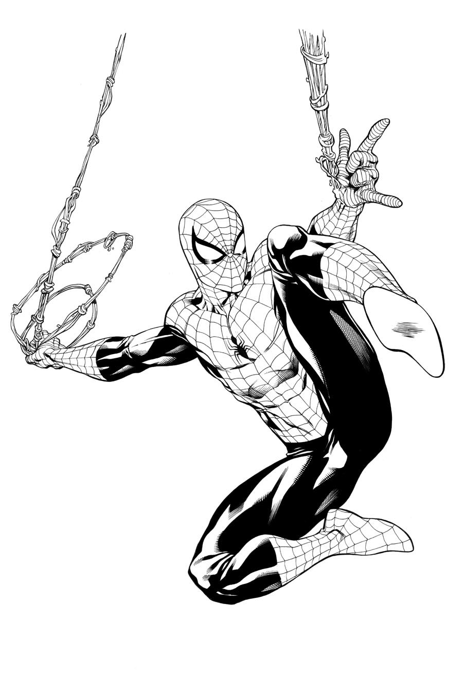 Spider Man Sketch Easy At Paintingvalley Com Explore Collection