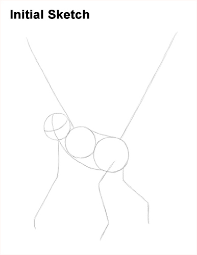 386x500 How To Draw A Spider Monkey - Spider Monkey Sketch