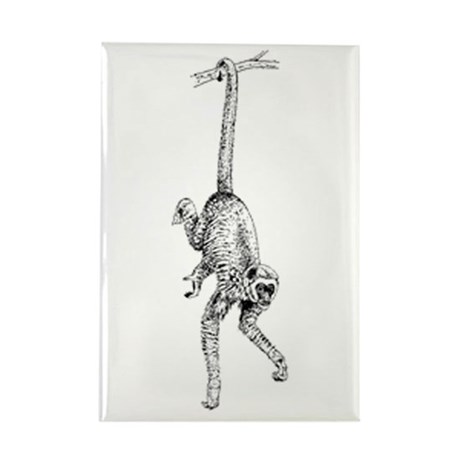 460x460 Spider Monkey Drawing Magnets - Spider Monkey Sketch