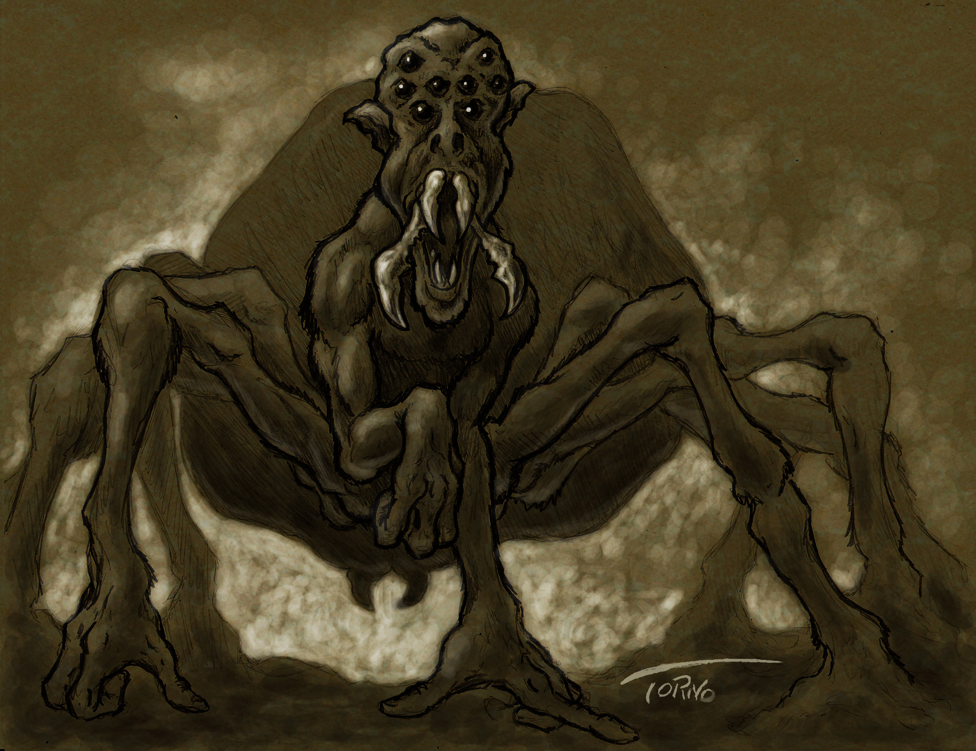 1981x1524 Spider Monkey Sketch Rob Torno - Spider Monkey Sketch