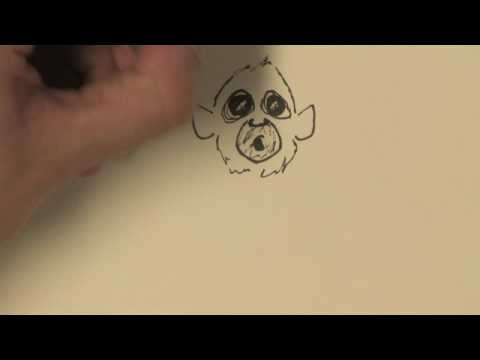 480x360 Drawing Amp Illustration How To Draw A Spider Monkey - Spider Monkey Sketch