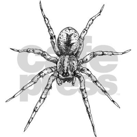 460x460 Realistic Spider Sketch Pillow Case By Angelscustomgiftshop - Spider Sketch