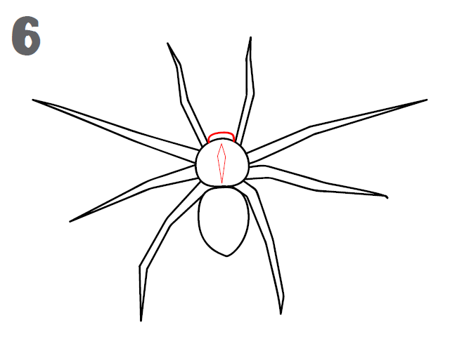 640x490 How To Draw A Spider - Spider Sketch