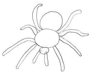 300x245 How To Draw A Spider - Spider Sketch Easy