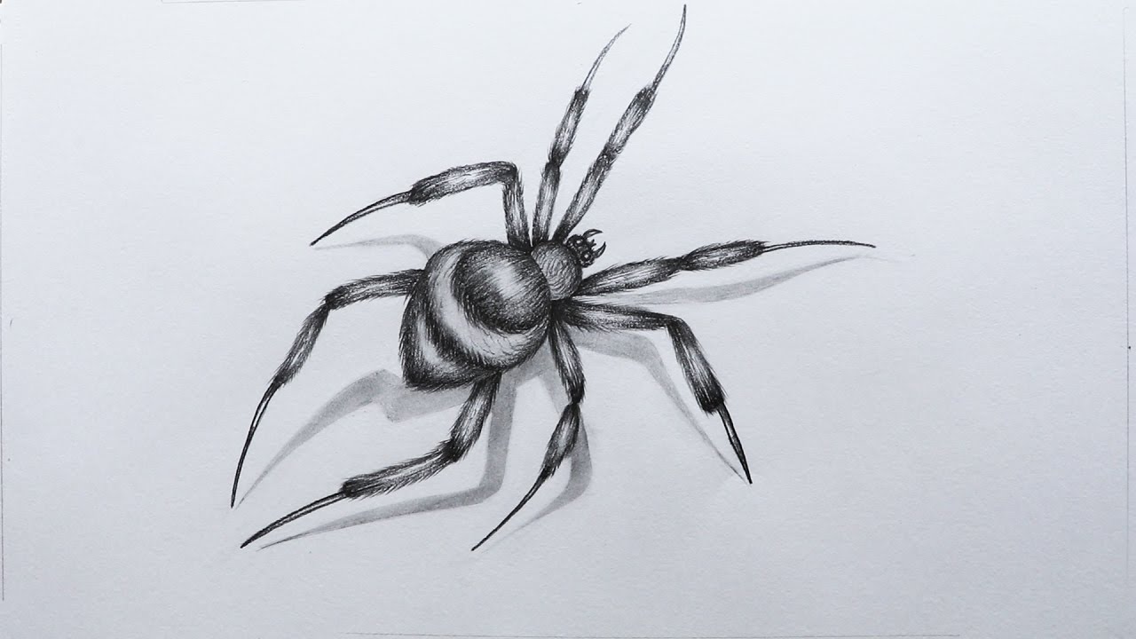 1280x720 How To Sketch A Spider - Spider Sketch Easy