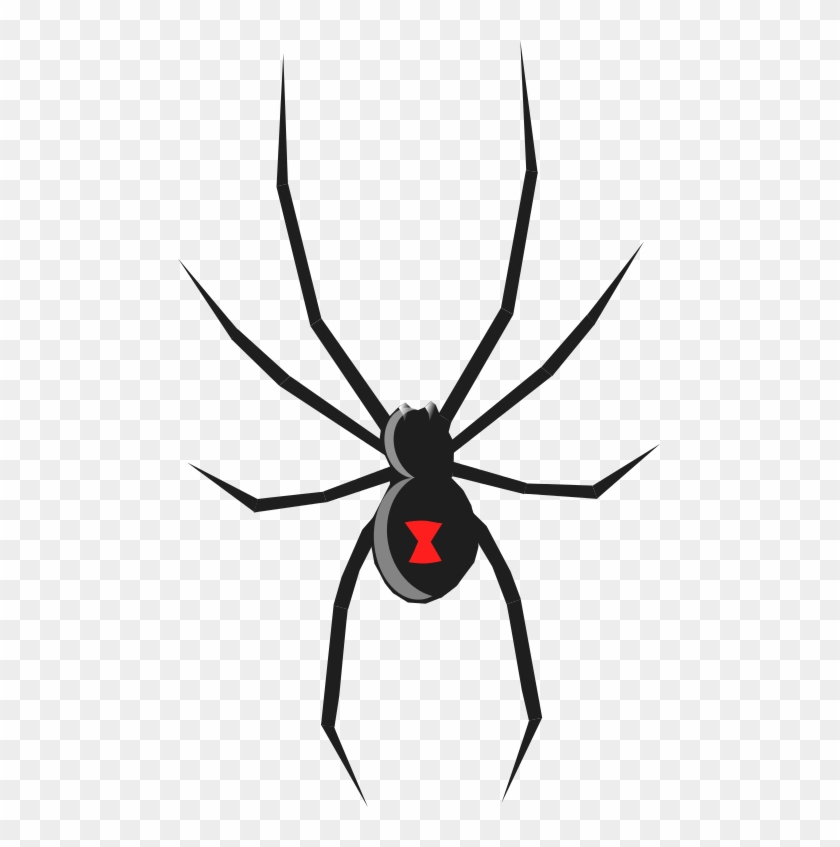 840x847 Related Clip Art - Spider Sketch Easy