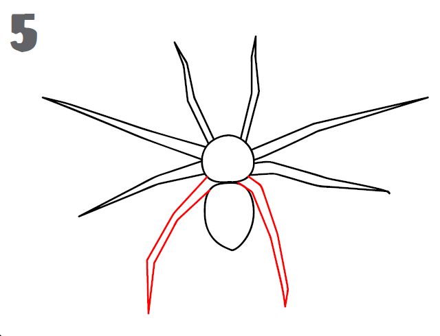 640x490 How To Draw A Spider - Spider Sketch Easy